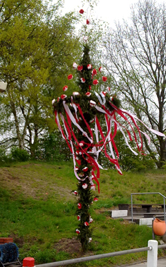 2012_maibaum