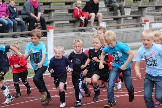 20130701_1139844317_vereinstag_2013_199