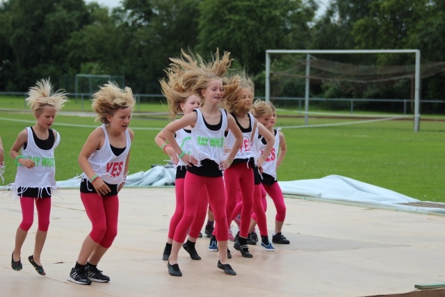 20130701_1279012462_vereinstag_2013_037