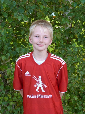 lindstedt_thino_2013