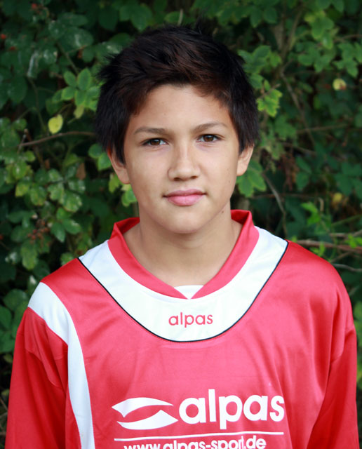 timmermann_clemens_2012