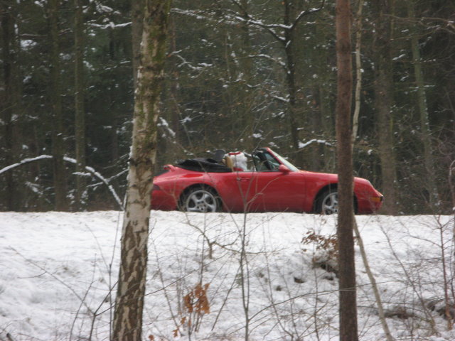 2009_leichtathletik_heiligabendlauf32009